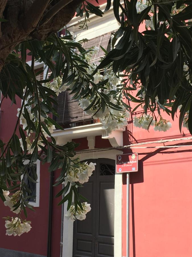 Casa Ega E La Rotonda: Bellissimi Monovani Nel Cuore Di CTA Exteriér fotografie